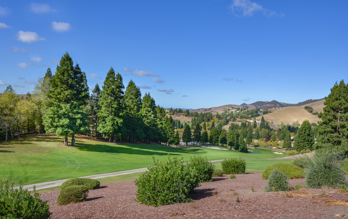 Best Golf Training Aids for Beginners in 2026