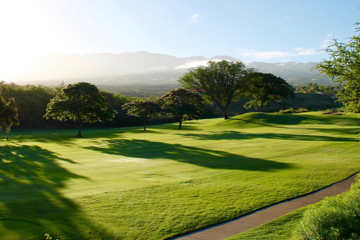How to Practice Golf at Home: 7 Drills That Actually Work